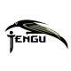 Палатки Tengu в Санкт-Петербурге Палатки Tengu в Санкт-Петербурге