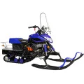 Снегоход Irbis Dingo T150 NEW в Санкт-Петербурге